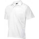 Afbeelding - 1209-7970061-jpg